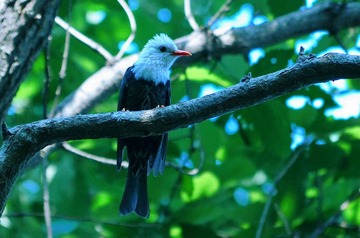 DSC_6763.jpg