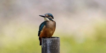 DSC_7614.jpg