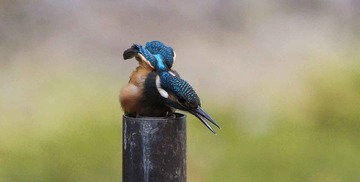 DSC_7494.jpg