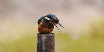 DSC_7495.jpg
