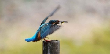 DSC_7507.jpg