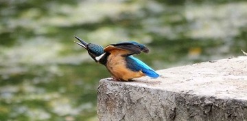 DSC_7592.jpg
