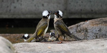 DSC_7290.jpg