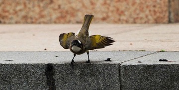 DSC_7060.jpg