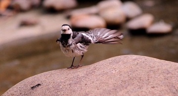DSC_7926.jpg