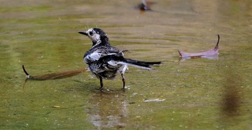 DSC_7940.jpg