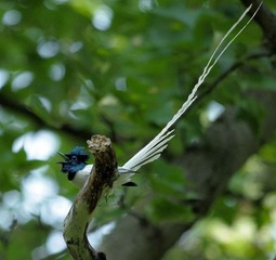 DSC_8596.jpg