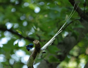 DSC_8597.jpg