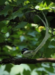 DSC_8540.jpg