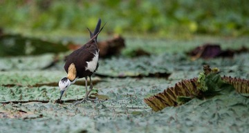 DSC_9240-4.jpg