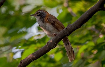 DSC_0331.jpg