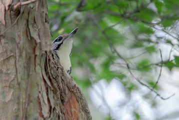 DSC_0319.jpg