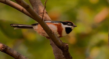 DSC_0035.jpg