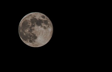 DSC_0114.jpg