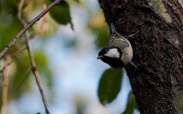 DSC_0178.jpg