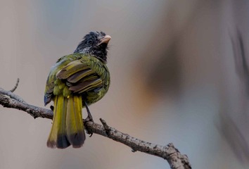 DSC_0257.jpg