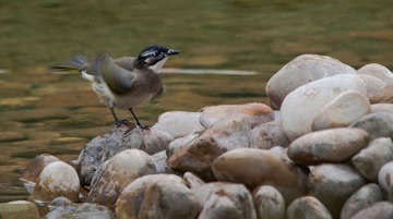 DSC_0362.jpg