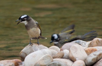 DSC_0372.jpg
