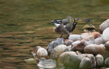 DSC_0385.jpg