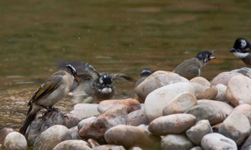DSC_0406-2.jpg
