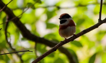 DSC_0751.jpg