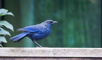 DSC_2869.jpg