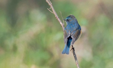 DSC_3600-3.jpg