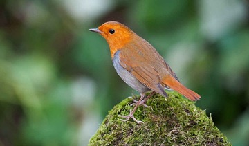 DSC_4644.jpg