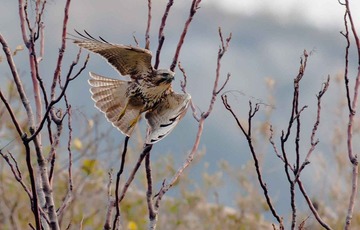DSC_4878-2.jpg