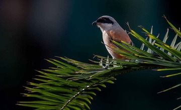 DSC_5166.jpg