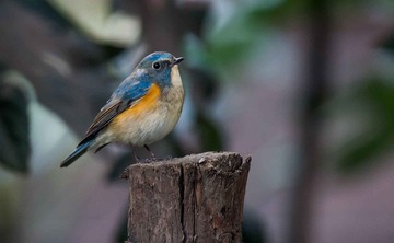 DSC_5185.jpg