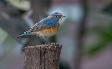 DSC_5192.jpg