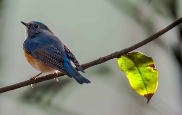 DSC_5202.jpg