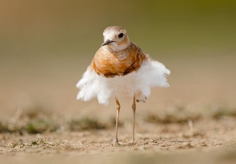 DSC_6053-2.jpg