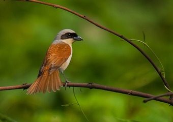 DSC_1449-2.jpg