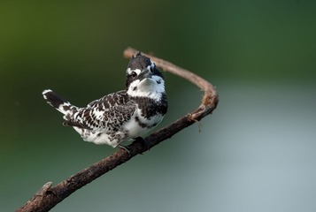 DSC_1939.jpg