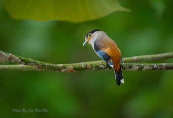 DSC_2601-3
