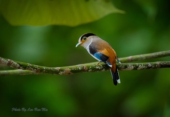 DSC_2580-2