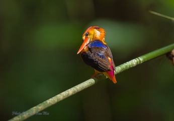 DSC_4263-2