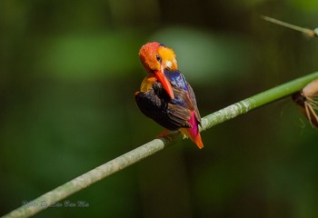 DSC_4245-2