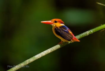 DSC_4369-2