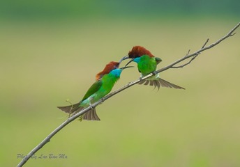 _DSC6323-2