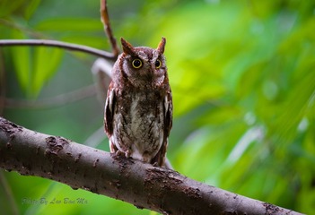 DSC_0111-2