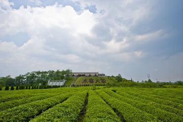印山越王陵