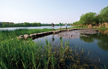 杨公堤