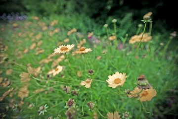 20120531_0281.jpg