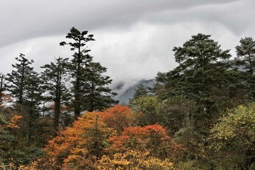 峨眉山