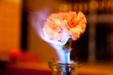_MG_0019.JPG