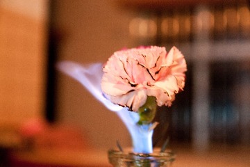 _MG_0020.JPG