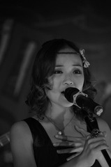 dolphin concert